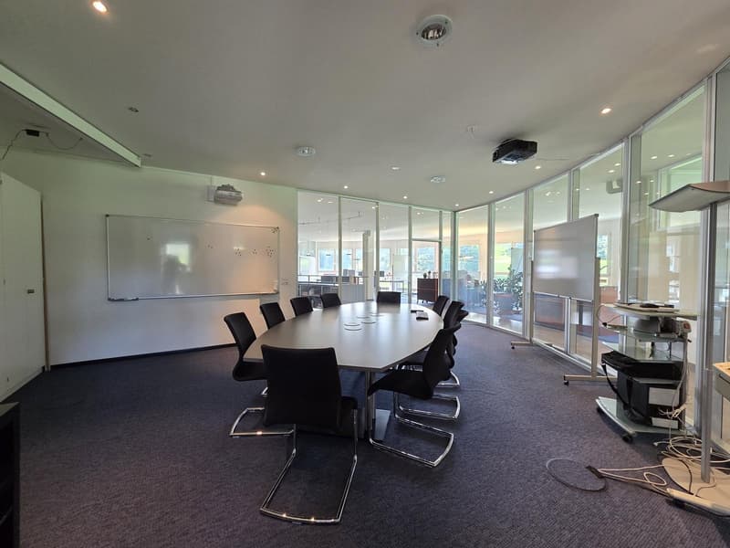 Conference room, long table, 18 chairs, white walls, ceiling lamps, whiteboard, projector