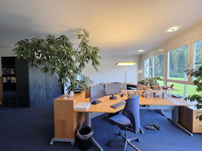 two desks, two computers, keyboard, office chair, office plants, office lamps, office shelves