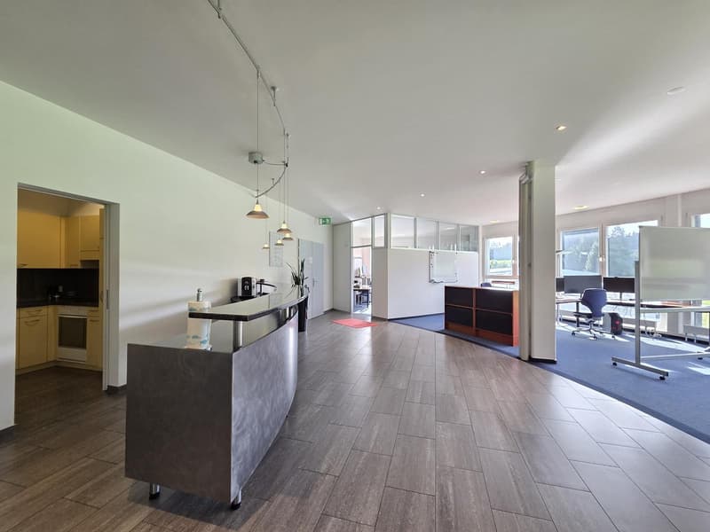 Spacious and modern office lobby with a metal desk, hanging lamps, wooden flooring, kitchen appliances, glass partitions, chairs, tables, and plants