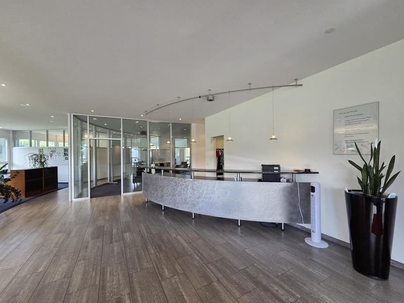 lobby area with glass walls, gray reception desk, plants, and pendant lights