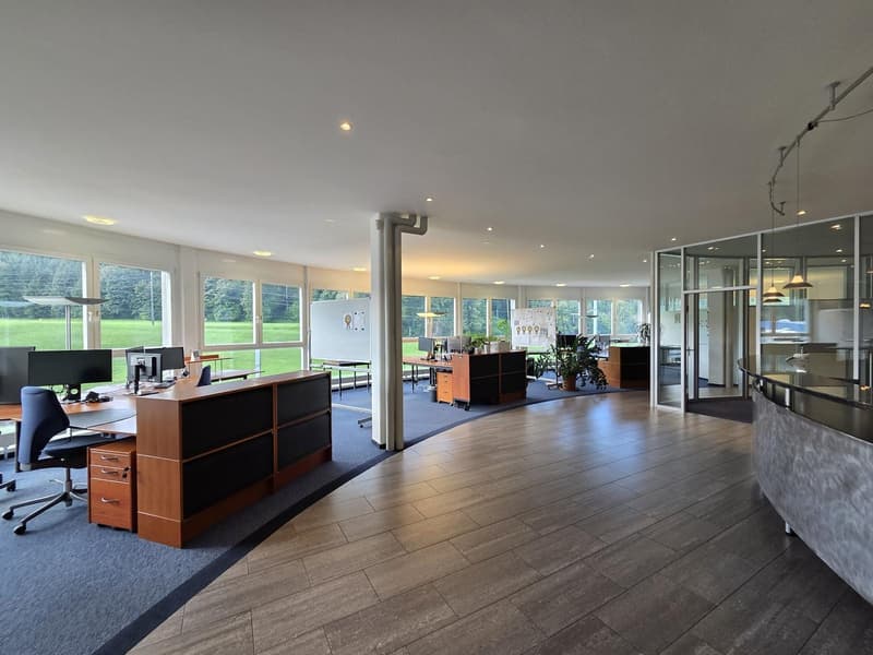 Office space with glass walls, large windows, wooden floors, office desks, computers, reception area