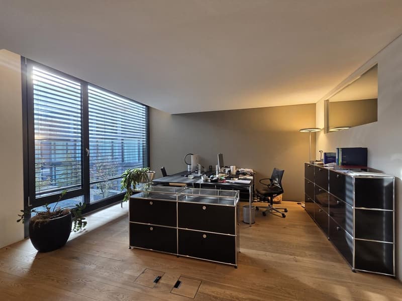 Modern office space with floor-to-ceiling windows, large black cabinet, office desk, black chair, potted plants, wooden flooring.