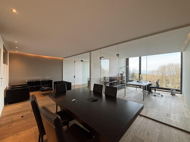 Modern office in "Sihlpark" in Schindellegi for rent (2)