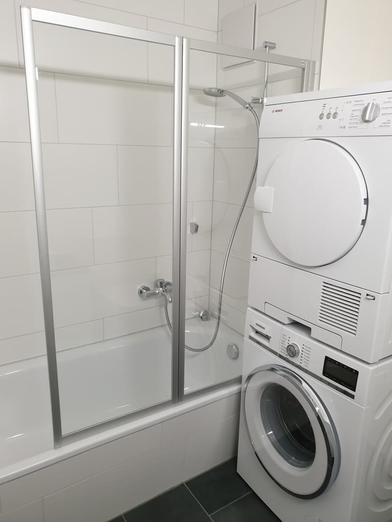 Wohnung mit eigenem Waschturm und Kachelofen (7)