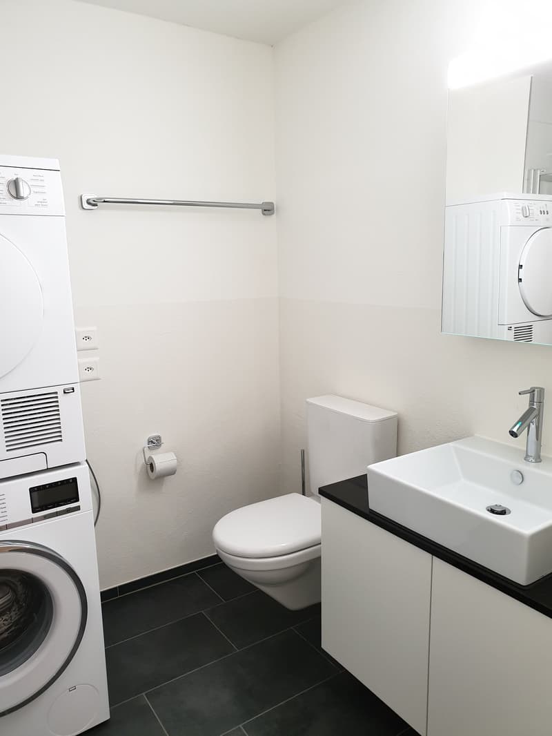 Wohnung mit eigenem Waschturm und Kachelofen (6)