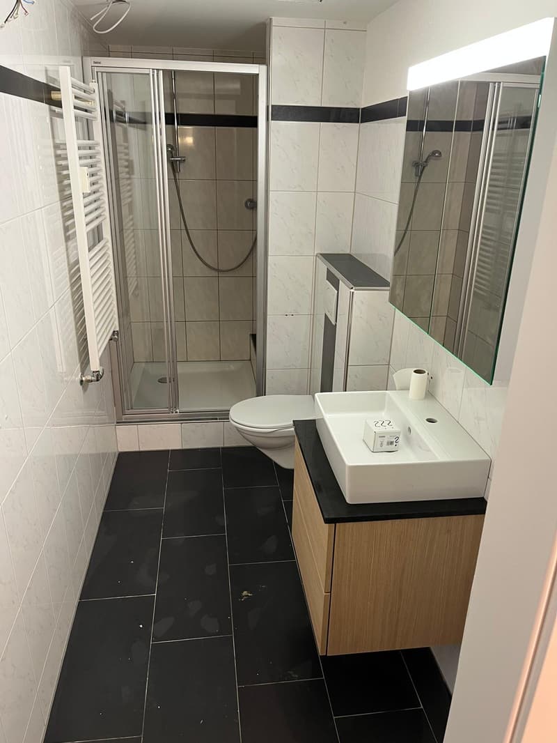 Modern ausgebaute Wohnung an ruhiger Wohnlage (6)