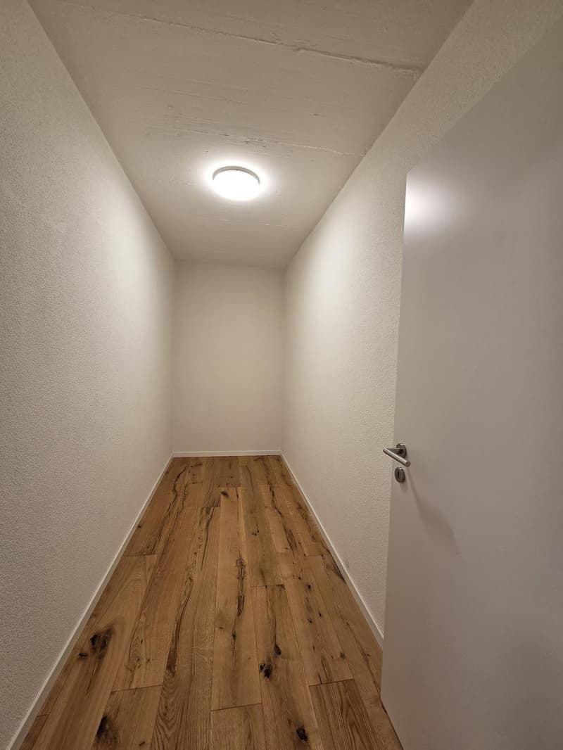 Helle und renovierte 3-Zimmer-Wohnung mit grosszügigem Balkon (9)