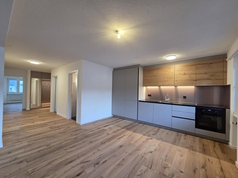 Helle und renovierte 3-Zimmer-Wohnung mit grosszügigem Balkon (2)