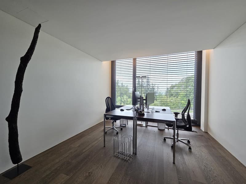 Toll ausgebautes Büro im steuergünstigen Schindellegi (2)