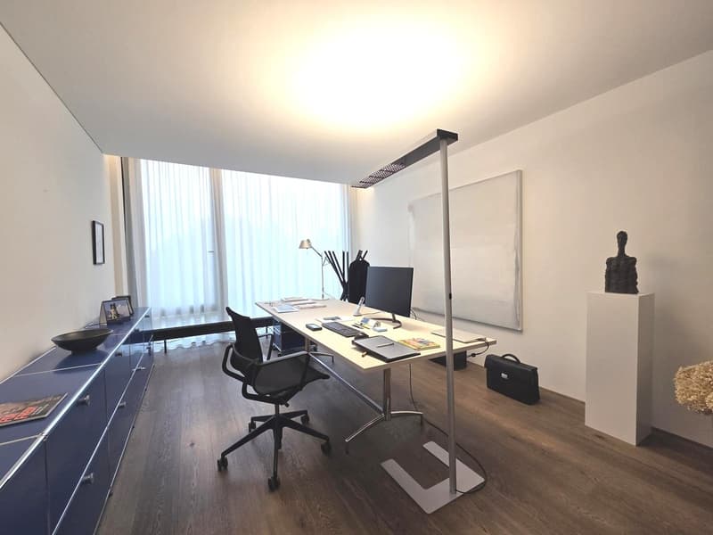 Toll ausgebautes Büro im steuergünstigen Schindellegi (1)