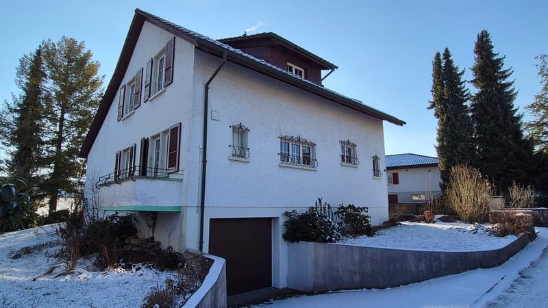 Charming single-family house with great garden and lots of potential (3)