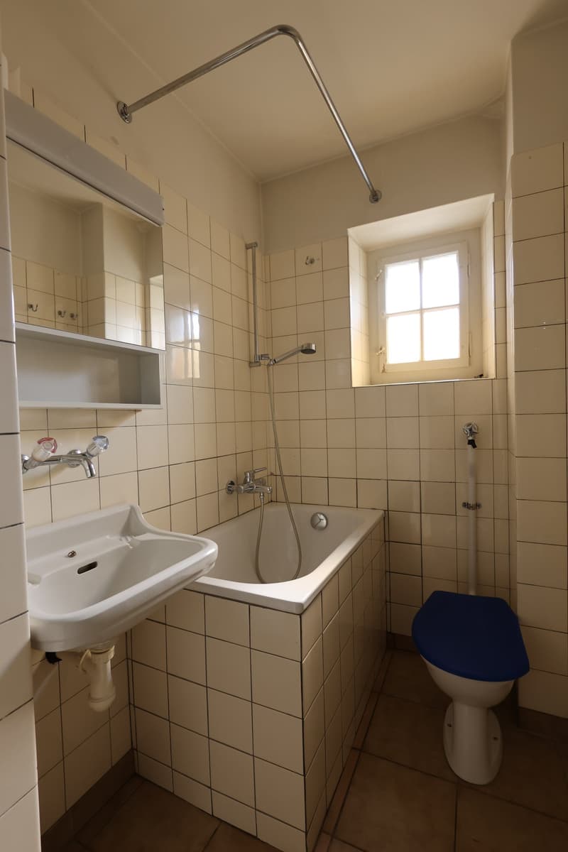 Charmantes Mehrfamilienhaus mit 2 Wohnungen in Trimbach (9)
