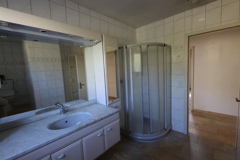 Einfamilienhaus mit Garage und Pool in Kyburg-Buchegg (13)