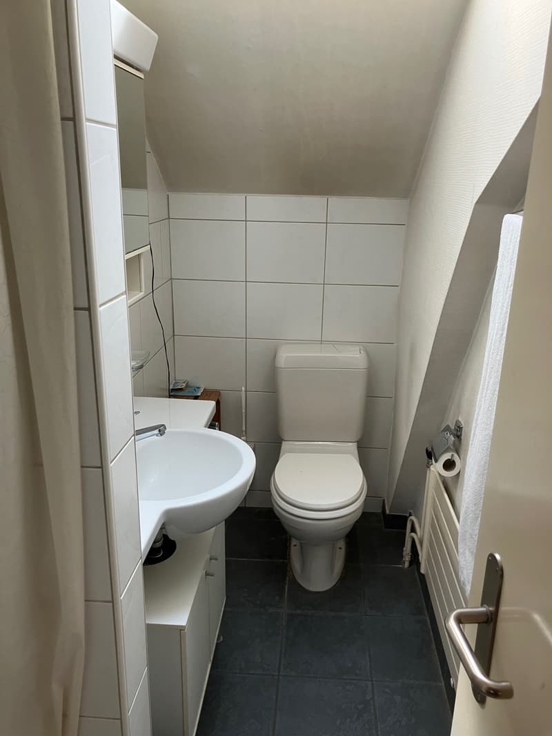 Charmante 4-Zimmerwohnung in Baden zu vermieten (4)