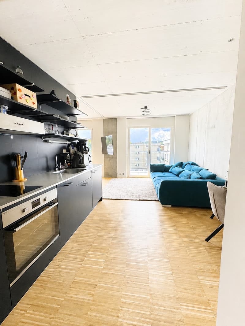 Tolles 2.5 Zimmer - Loft im Herzen von Aarau. (2)