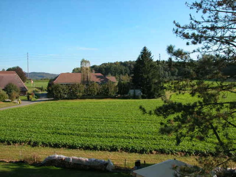 Balkonaussicht