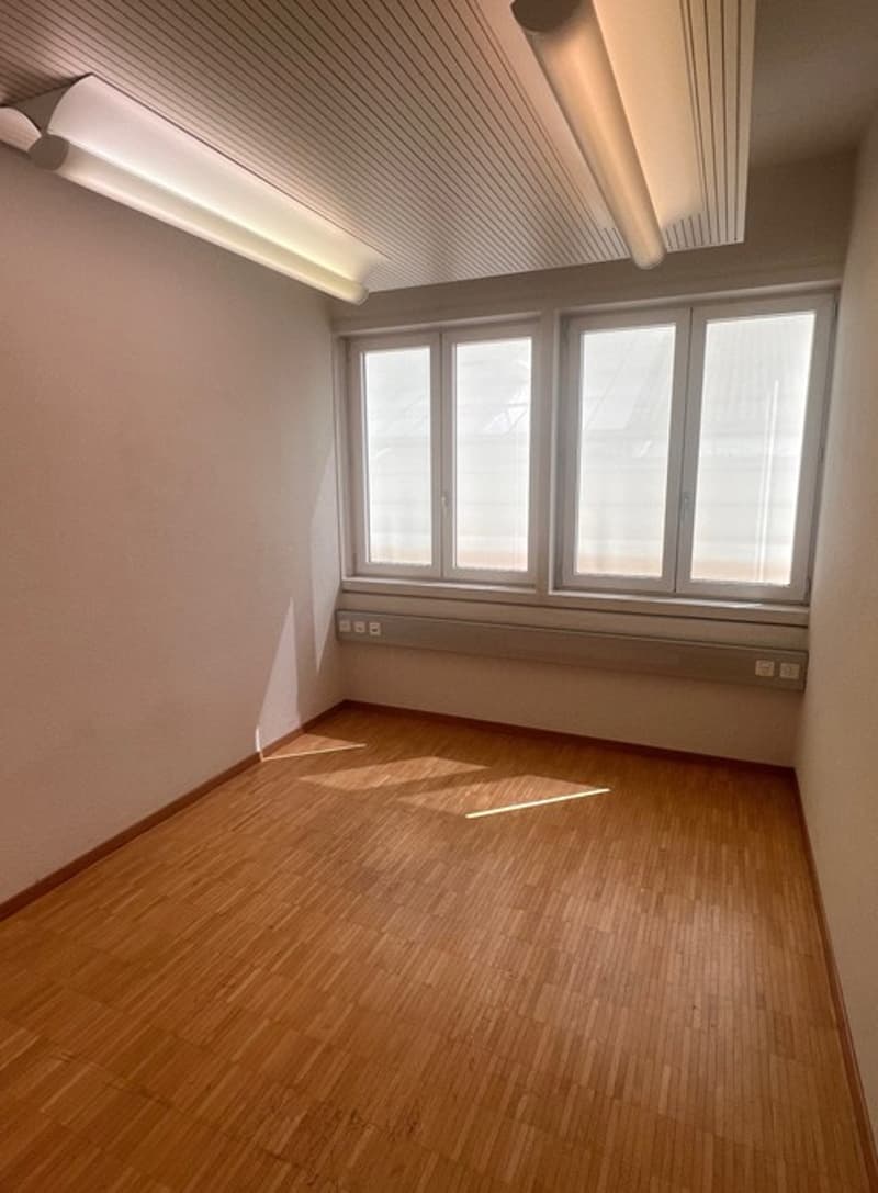 Gewerberäumlichkeiten im Herzen von Niederlenz (6)
