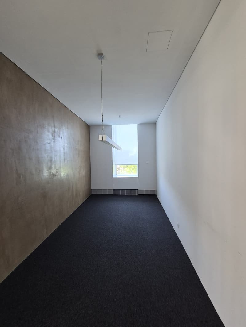Attraktive Gewerbefläche an bester Zentrumslage in Zofingen (5)