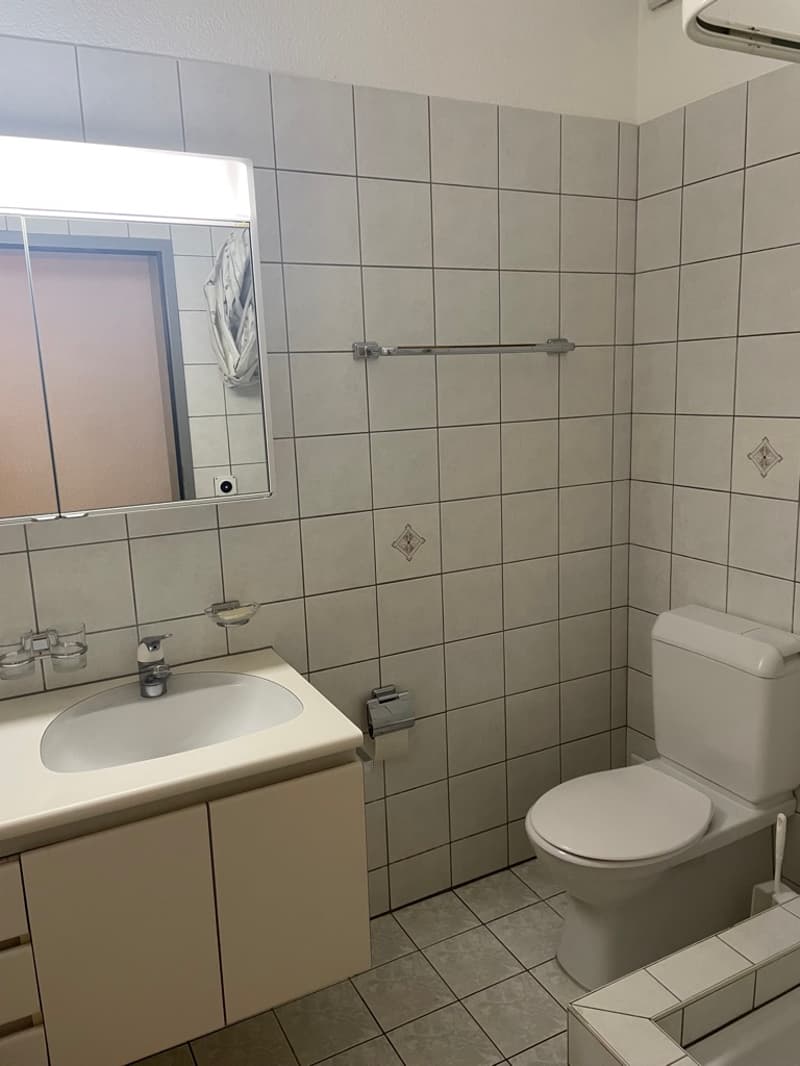 Grosszügige EG Wohnung im steuergünstigen Staufen / 1. Monat gratis Wohnung (9)