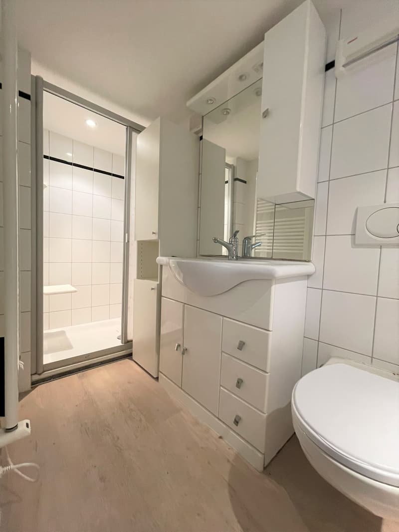 Bad mit WC / Dusche und Waschmaschine
