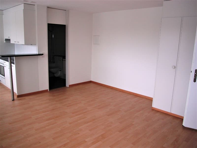 Eingangsbereich und Wohn-/Schlafzimmer