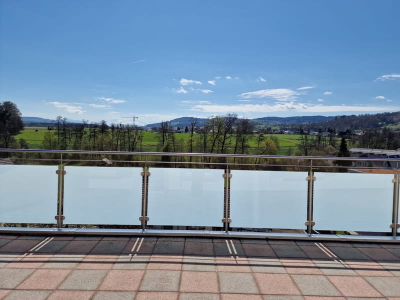 Charmante 4-Zimmerwohnung mit sensantioneller Terrasse und Aussicht (9)
