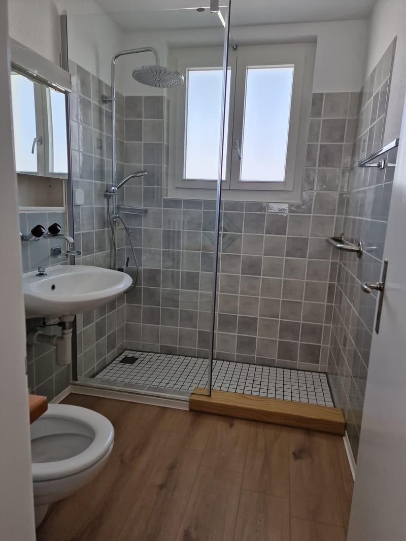 Charmante 4-Zimmerwohnung mit sensantioneller Terrasse und Aussicht (6)