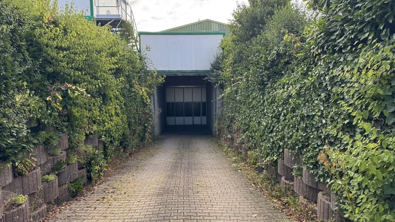Vielseitig nutzbare Lagerhalle mit eigener Zufahrt (1)