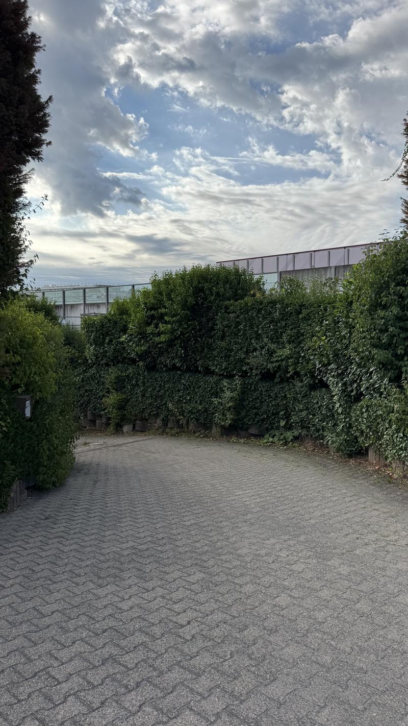 Vielseitig nutzbare Lagerhalle mit eigener Zufahrt (2)