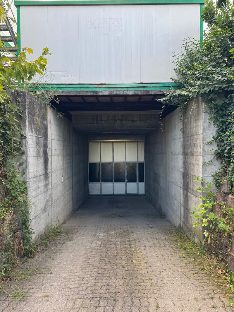 Vielseitig nutzbare Lagerhalle mit eigener Zufahrt (3)