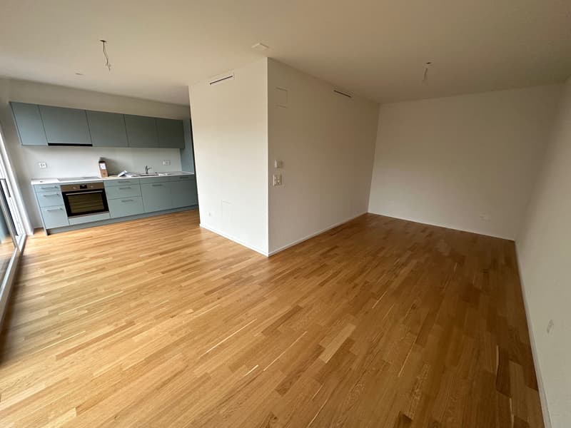 Moderne und zentral gelegene Wohnung in Basel (1)
