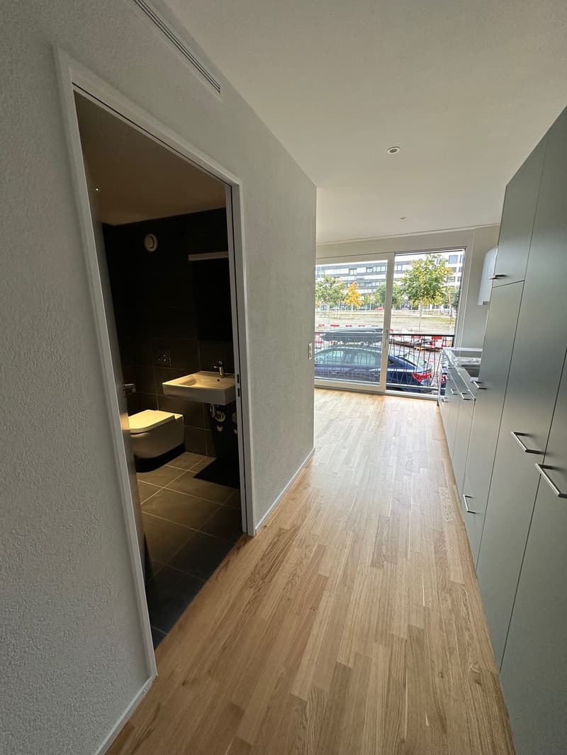 Moderne und zentral gelegene Wohnung in Basel (3)