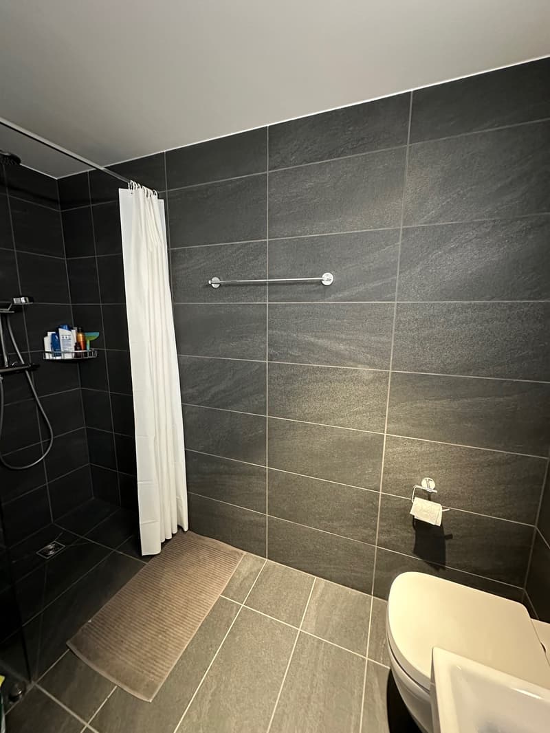Moderne und zentral gelegene Wohnung in Basel (5)