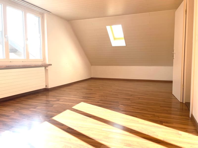 Herzige Dachzimmerwohnung (4)