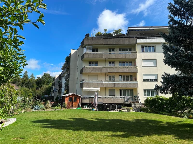 Attraktives Wohnungspaket - vier Eigentumswohnungen in Lenzburg (1)