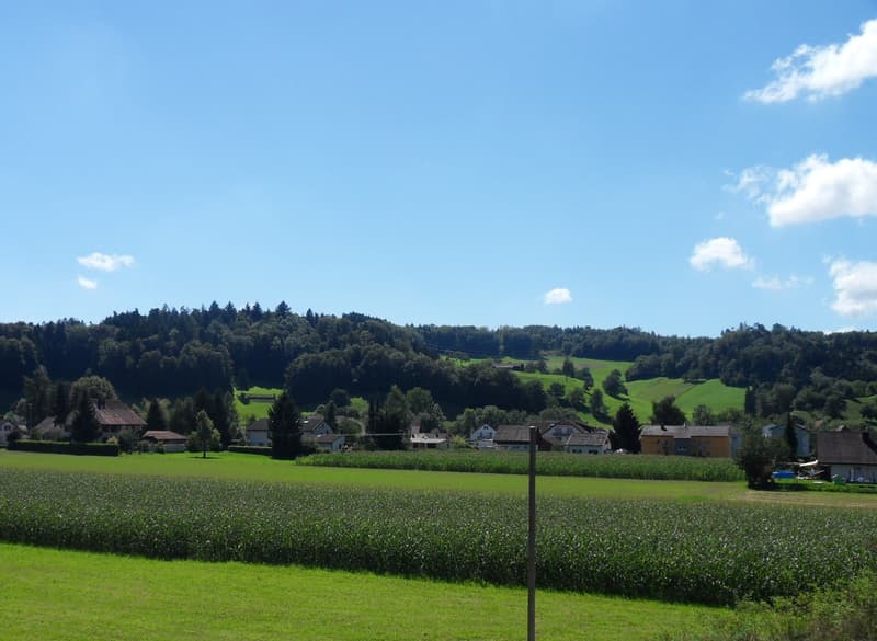 Herzige und heimelige Dachwohnung - Tolle Singlewohnung! (7)