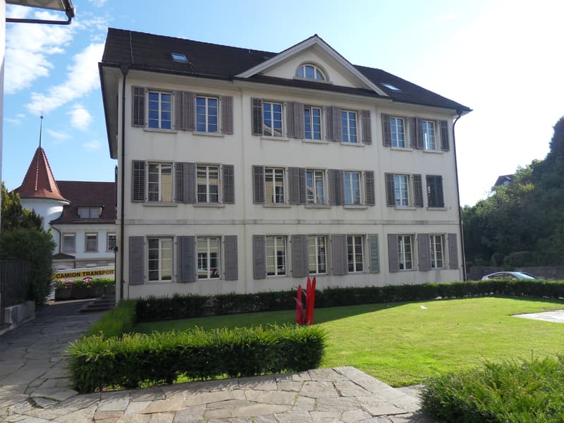 Helles Büro mit 23 m² an zentraler Lage in Schönenwerd (1)