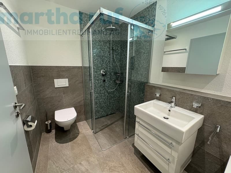 Badezimmer mit Dusche / salle de bain avec douche / Bathroom with shower