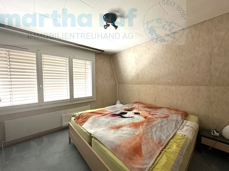 Vielseitiges Wohnhaus mit Tierpension nahe dem Zentrum (10)