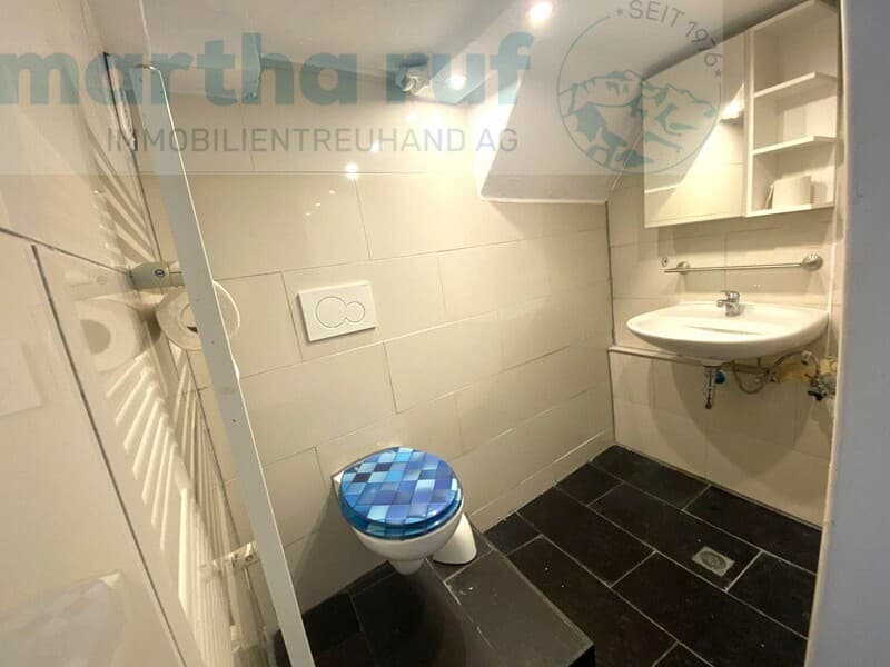 Haus mit Wohnung und Ladenfläche (7)