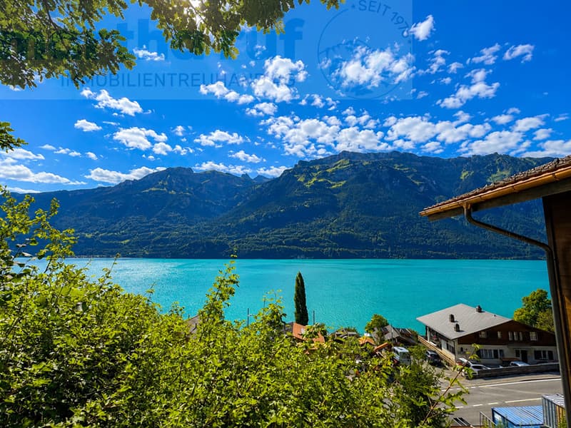 Aussicht auf Brienzersee ab Sitzplatz