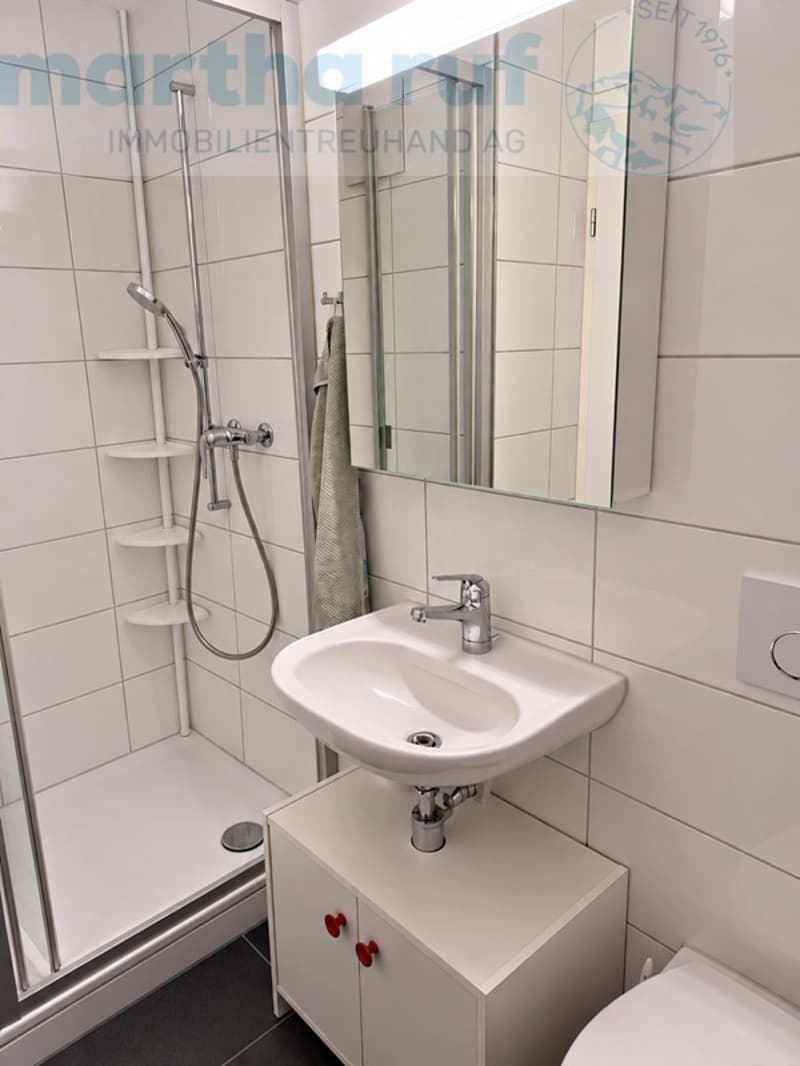 Helle, grosszügige 4.5-Zimmer-Wohnung mit grossem Gartensitzplatz (9)