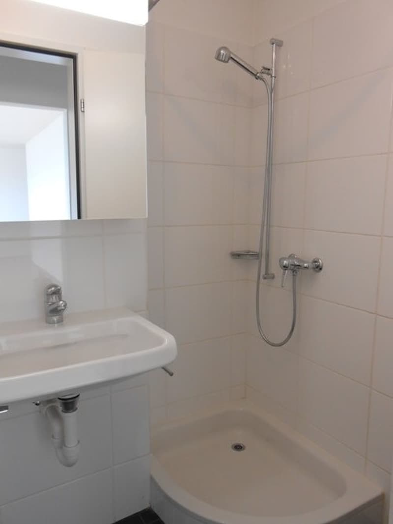 Dusche/WC (Musterbild)