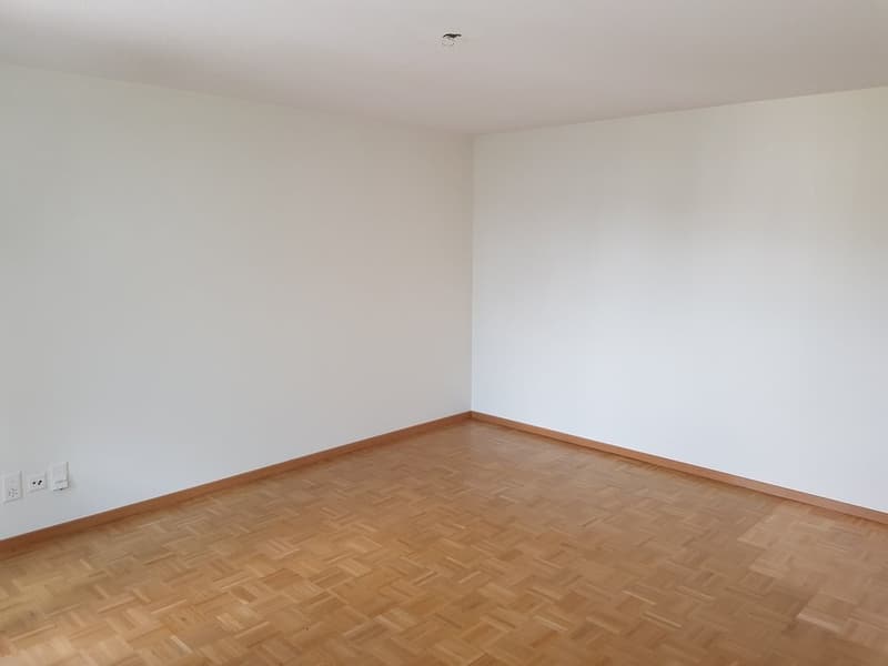 Wohn-/Schlafzimmer