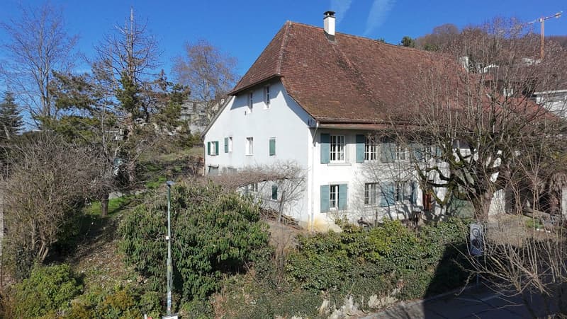 Attraktives Bauernhaus mit Ausbaupotenzial und Baulandreserve (1)