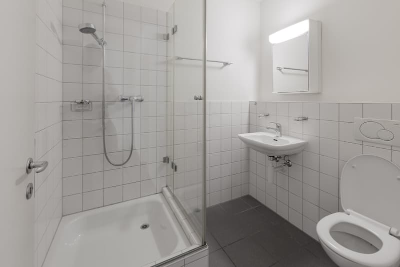 WOHNTRAUM MIT DACHTERRASSE IM BEVORZUGTEN GELLERT-QUARTIER (8)