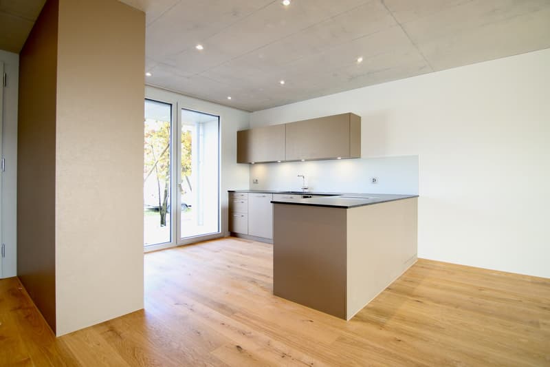 Exclusive 3.5-room apartment in a quiet, unobstructed location (2)