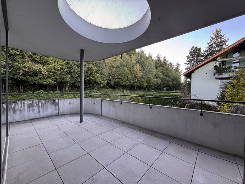 Appartamento luminoso 3.5 locali con standard di condominio (7)