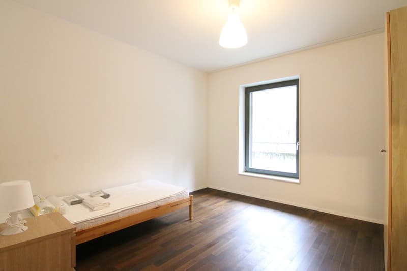 Appartamento luminoso 3.5 locali con standard di condominio (6)
