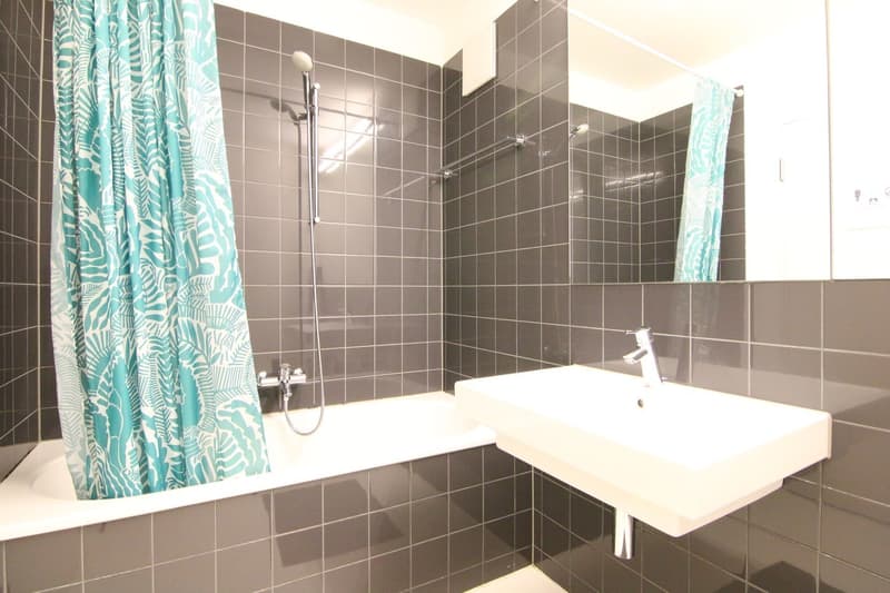 Appartamento luminoso 3.5 locali con standard di condominio (3)